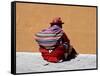 Old Woman with Sling Crouches on Sidewalk, Cusco, Peru-Jim Zuckerman-Framed Stretched Canvas