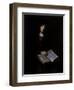 Old Women with Book-Nicolaes Maes-Framed Giclee Print