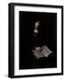 Old Women with Book-Nicolaes Maes-Framed Giclee Print