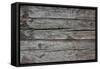 Old Wood Background Texture-Mikalai-Framed Stretched Canvas