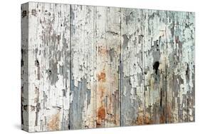 Old Wood Planks Background-Tony Baggett-Stretched Canvas