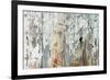 Old Wood Planks Background-Tony Baggett-Framed Photographic Print