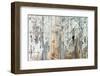 Old Wood Planks Background-Tony Baggett-Framed Photographic Print