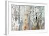 Old Wood Planks Background-Tony Baggett-Framed Photographic Print