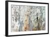 Old Wood Planks Background-Tony Baggett-Framed Photographic Print