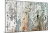 Old Wood Planks Background-Tony Baggett-Mounted Photographic Print