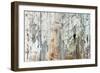 Old Wood Planks Background-Tony Baggett-Framed Photographic Print