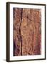 Old Wood Texture for Background-B-D-S-Framed Photographic Print
