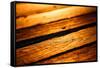 Old Wood Texture in Sunset Light-Wandzel Wojciech-Framed Stretched Canvas