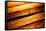 Old Wood Texture in Sunset Light-Wandzel Wojciech-Framed Stretched Canvas