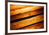 Old Wood Texture in Sunset Light-Wandzel Wojciech-Framed Photographic Print