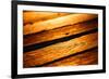 Old Wood Texture in Sunset Light-Wandzel Wojciech-Framed Photographic Print