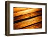 Old Wood Texture in Sunset Light-Wandzel Wojciech-Framed Photographic Print