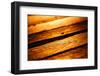 Old Wood Texture in Sunset Light-Wandzel Wojciech-Framed Photographic Print