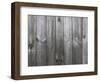 Old Wood Texture with Natural Patterns-Creat-Framed Photographic Print