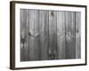 Old Wood Texture with Natural Patterns-Creat-Framed Photographic Print