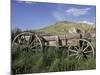 Old Wood Wagon near Mining Ghost Town at Bannack State Park, Montana, USA-Jamie & Judy Wild-Mounted Photographic Print