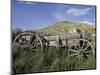 Old Wood Wagon near Mining Ghost Town at Bannack State Park, Montana, USA-Jamie & Judy Wild-Mounted Photographic Print