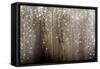 Old Wooden Background With Falling Snow Flakes-Kesu01-Framed Stretched Canvas