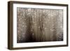 Old Wooden Background With Falling Snow Flakes-Kesu01-Framed Art Print