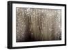 Old Wooden Background With Falling Snow Flakes-Kesu01-Framed Art Print