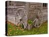 Old Wooden Barn with Wagon Wheels in Rural New England, Maine, USA-Joanne Wells-Stretched Canvas