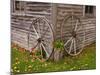 Old Wooden Barn with Wagon Wheels in Rural New England, Maine, USA-Joanne Wells-Mounted Photographic Print