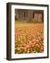 Old Wooden Barn with Wagon Wheels in Rural New England, Maine, USA-Joanne Wells-Framed Photographic Print