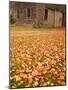 Old Wooden Barn with Wagon Wheels in Rural New England, Maine, USA-Joanne Wells-Mounted Photographic Print