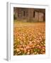 Old Wooden Barn with Wagon Wheels in Rural New England, Maine, USA-Joanne Wells-Framed Photographic Print