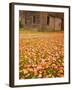 Old Wooden Barn with Wagon Wheels in Rural New England, Maine, USA-Joanne Wells-Framed Photographic Print