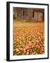 Old Wooden Barn with Wagon Wheels in Rural New England, Maine, USA-Joanne Wells-Framed Photographic Print