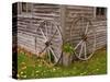Old Wooden Barn with Wagon Wheels in Rural New England, Maine, USA-Joanne Wells-Stretched Canvas