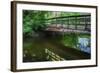 Old Wooden Bridge Over Brook-Anthony Paladino-Framed Giclee Print