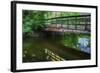 Old Wooden Bridge Over Brook-Anthony Paladino-Framed Giclee Print