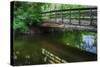 Old Wooden Bridge Over Brook-Anthony Paladino-Stretched Canvas