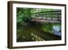 Old Wooden Bridge Over Brook-Anthony Paladino-Framed Giclee Print