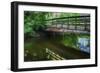 Old Wooden Bridge Over Brook-Anthony Paladino-Framed Giclee Print