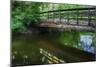 Old Wooden Bridge Over Brook-Anthony Paladino-Mounted Giclee Print