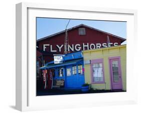 Old Wooden Buildings, Oak Bluffs, Martha's Vineyard, Massachusetts Usa-Fraser Hall-Framed Photographic Print