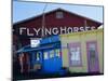 Old Wooden Buildings, Oak Bluffs, Martha's Vineyard, Massachusetts Usa-Fraser Hall-Mounted Photographic Print