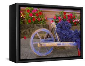 Old Wooden Cart with Fresh-Cut Lavender, Sault, Provence, France-Jim Zuckerman-Framed Stretched Canvas