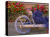 Old Wooden Cart with Fresh-Cut Lavender, Sault, Provence, France-Jim Zuckerman-Stretched Canvas