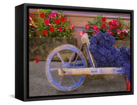 Old Wooden Cart with Fresh-Cut Lavender, Sault, Provence, France-Jim Zuckerman-Framed Stretched Canvas