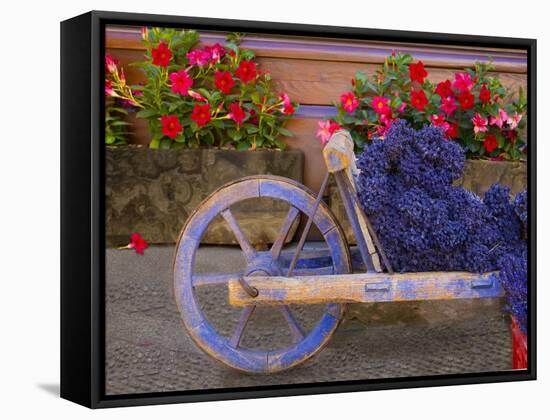 Old Wooden Cart with Fresh-Cut Lavender, Sault, Provence, France-Jim Zuckerman-Framed Stretched Canvas