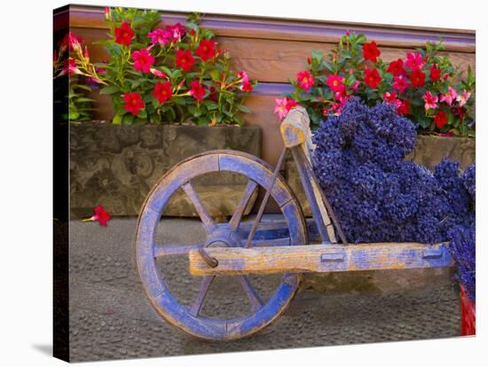 Old Wooden Cart with Fresh-Cut Lavender, Sault, Provence, France-Jim Zuckerman-Stretched Canvas