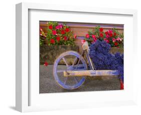 Old Wooden Cart with Fresh-Cut Lavender, Sault, Provence, France-Jim Zuckerman-Framed Photographic Print