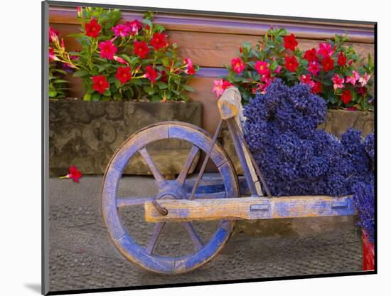 Old Wooden Cart with Fresh-Cut Lavender, Sault, Provence, France-Jim Zuckerman-Mounted Photographic Print