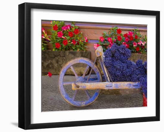 Old Wooden Cart with Fresh-Cut Lavender, Sault, Provence, France-Jim Zuckerman-Framed Photographic Print