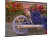 Old Wooden Cart with Fresh-Cut Lavender, Sault, Provence, France-Jim Zuckerman-Mounted Photographic Print